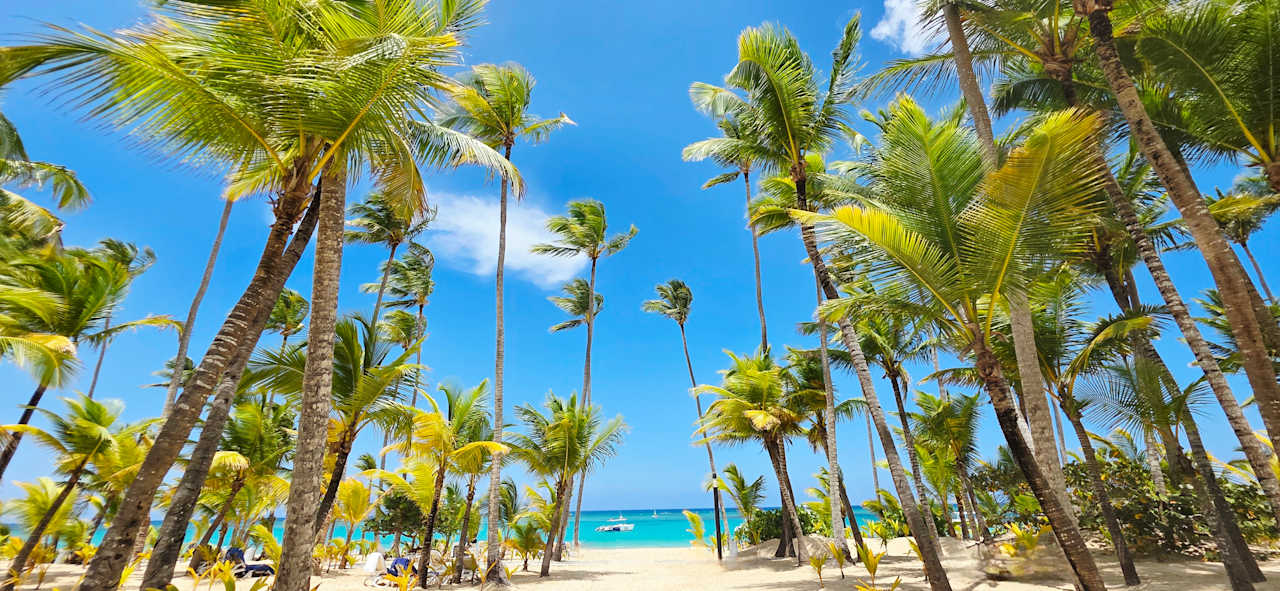 Strand Hotel Riu Palace Macao - Adults only