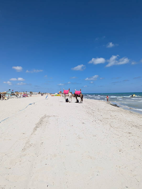 Strand Djerba Aqua Resort