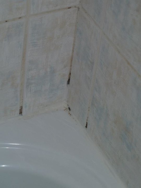 Schimmel im Bad Hotel Park Siracusa Sicily