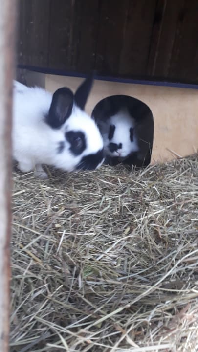 Sonstiges Bauernhof Bernhardenhof