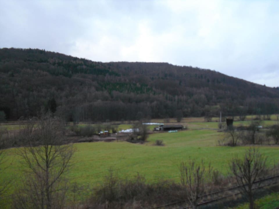 Zimmerausblick Landhotel Weisses Ross garni
