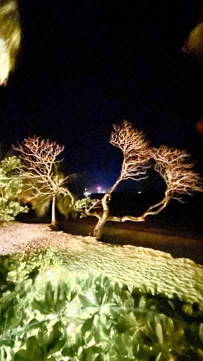 Außenansicht Vilamendhoo Island Resort & Spa