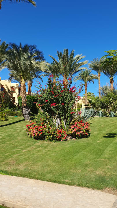 Gartenanlage Steigenberger Coraya Beach - Adults only