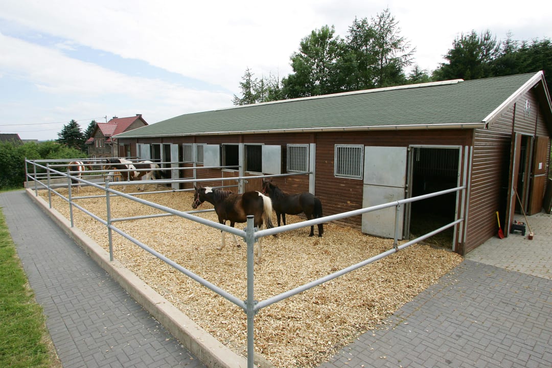 Hauseigene Wanderreitstation,10 Boxen, 1 Zimmer  Vulkanhotel balance & selfness
