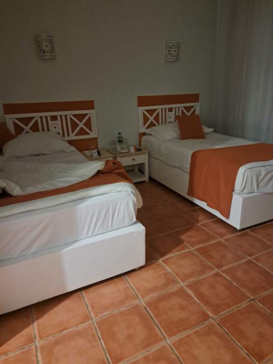 Zimmer JAZ Neo Reef Marsa