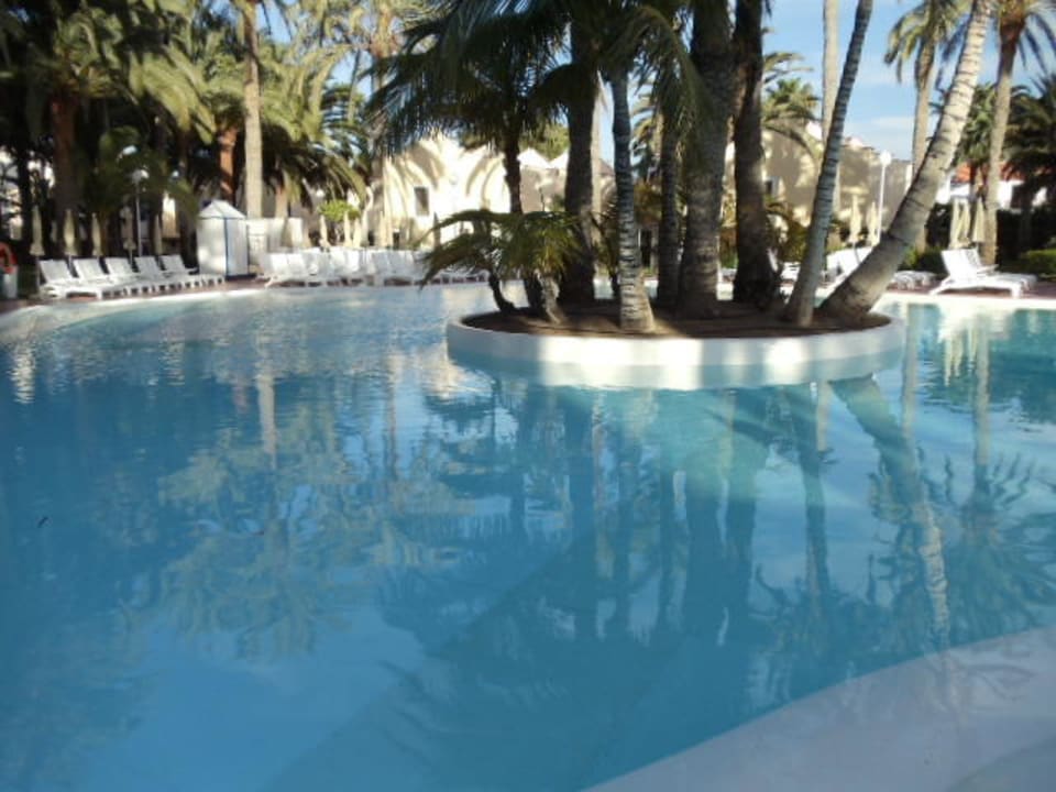 Poollandschaft Hotel Riu Palace Palmeras