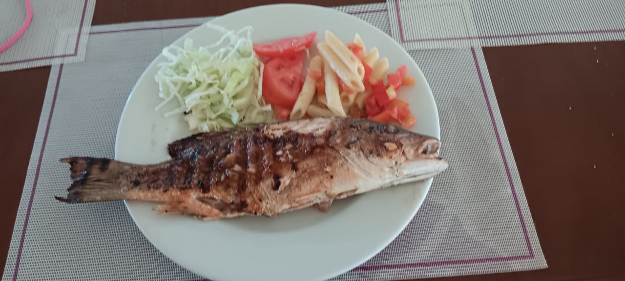 Gastro Starfish Jibacoa