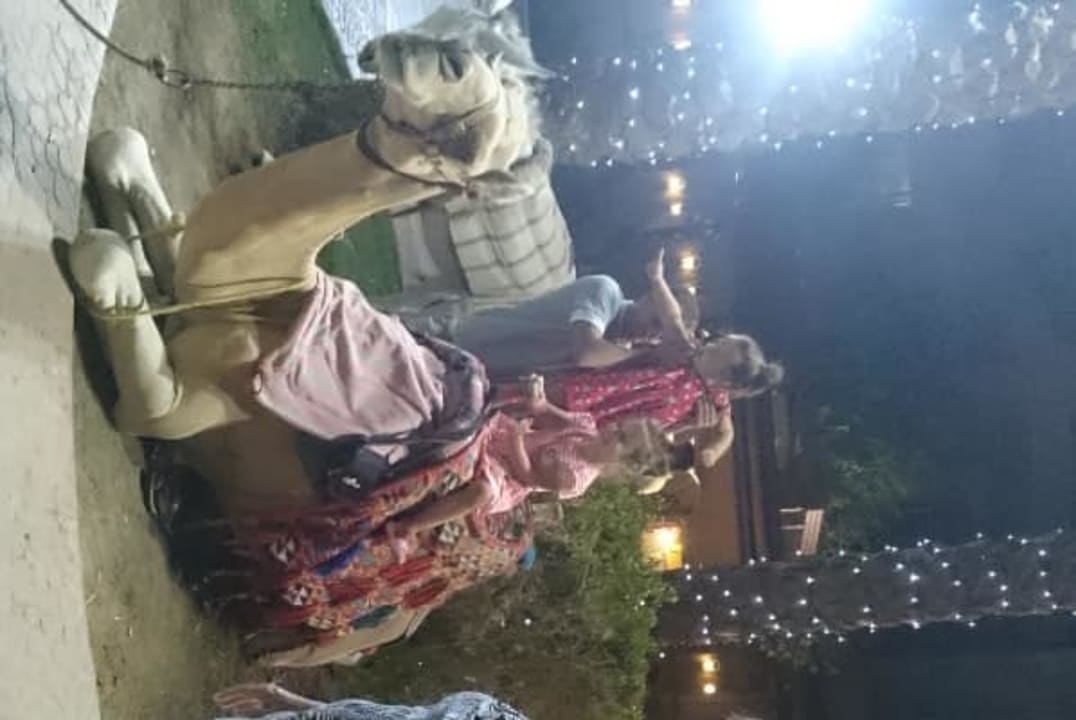 Gastro Palm Royale Resort - Soma Bay