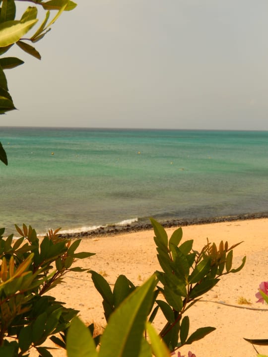 Aussicht zum Meer SBH Costa Calma Beach Resort