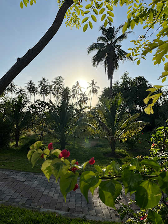 Gastro Villa Park Sun Island