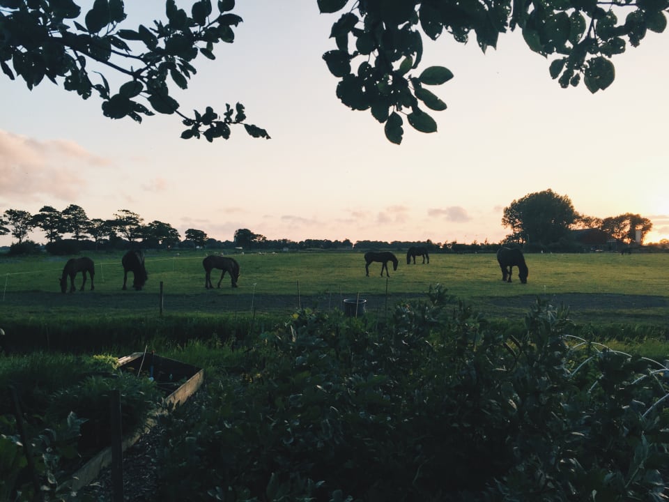 Ausblick Hotel & Restaurant Weidumerhout