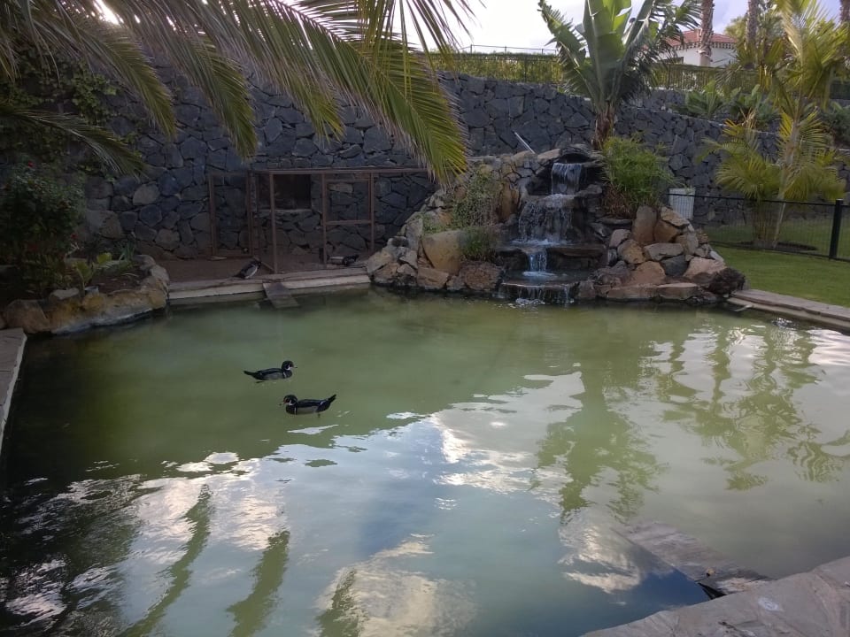Enten Hotel Las Aguilas, Affiliated by Meliá