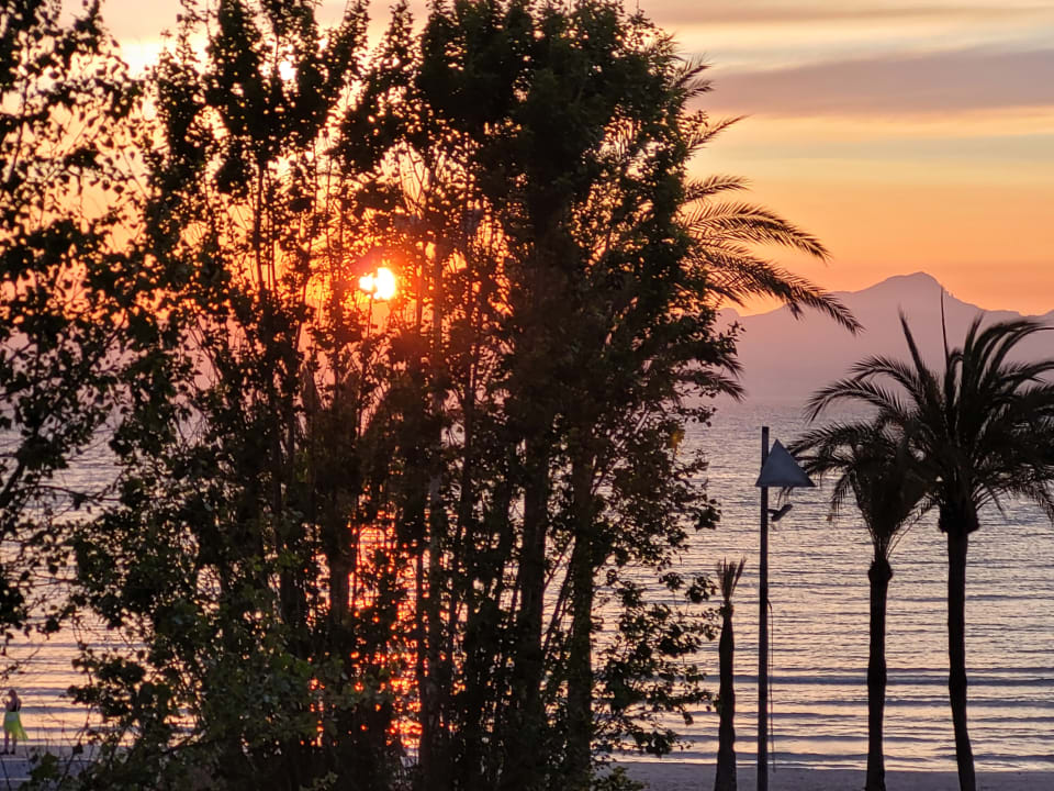 Ausblick whala!beach