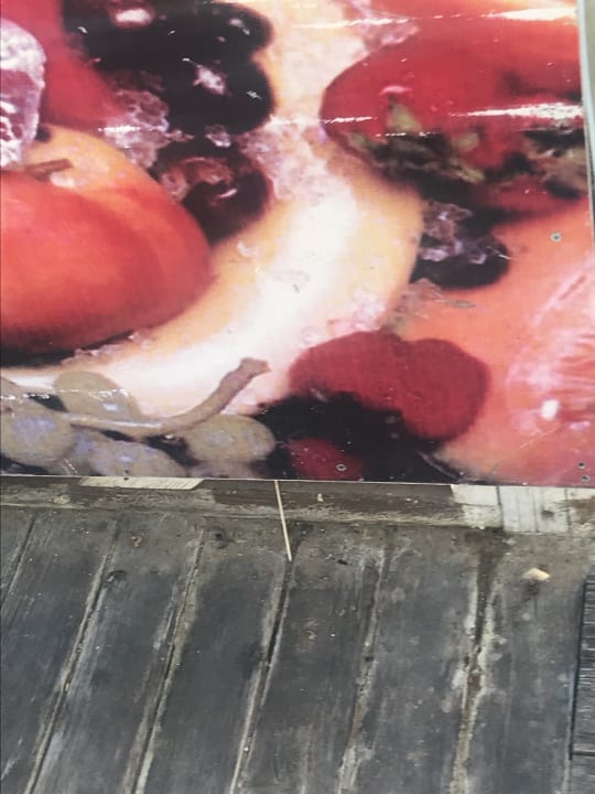 Sonstiges Hotel Orfeus Park