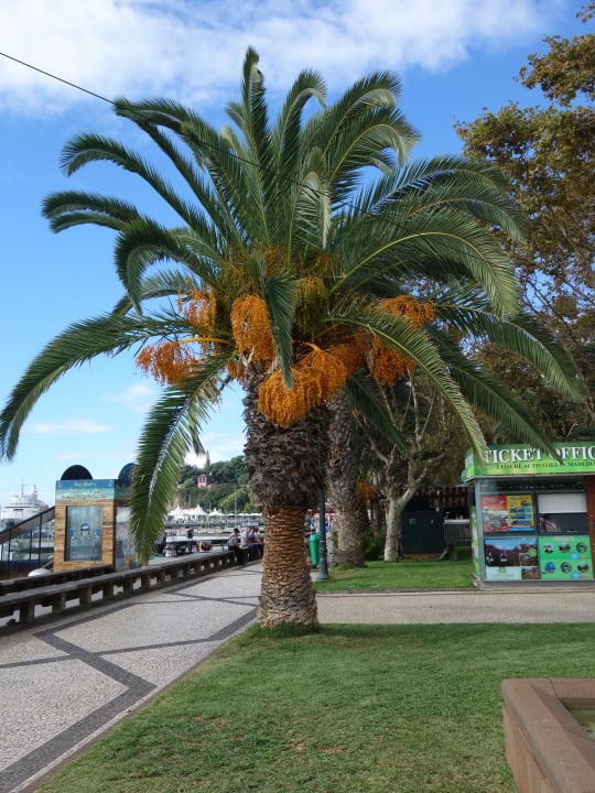 Sonstiges Hotel PortoBay Santa Maria