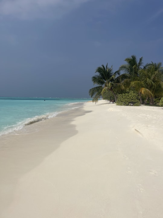 Strand Meeru Maldives Resort Island
