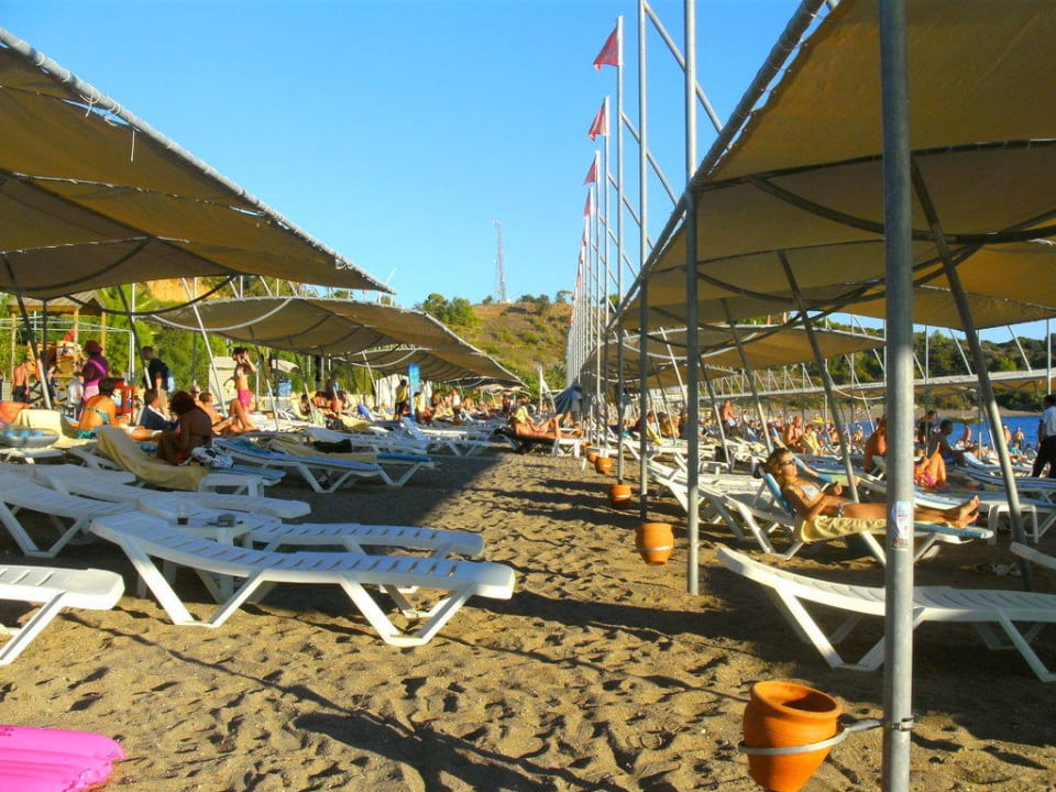 Immer ein schattiges Plätzchen Arycanda Kirman Premium