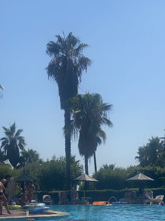 "Gartenanlage" Hotel Defne Garden (Side Kumköy) • HolidayCheck