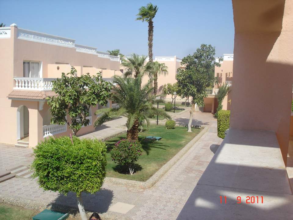 Вид Beach Albatros Resort