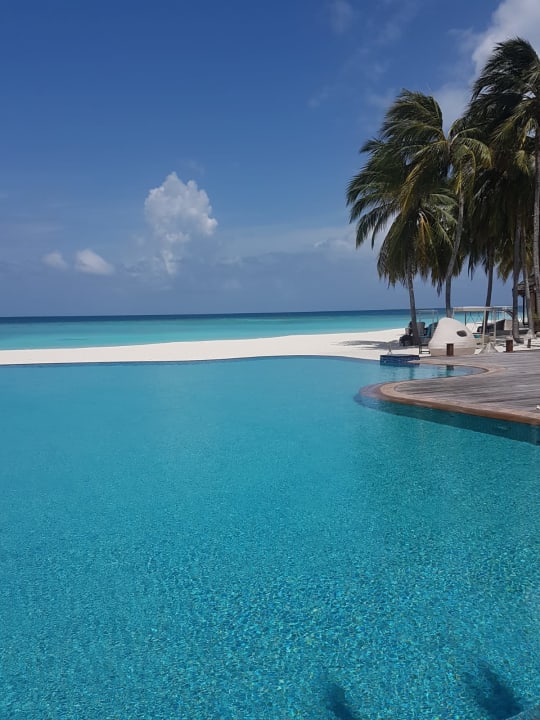 Pool Veligandu Maldives Resort Island
