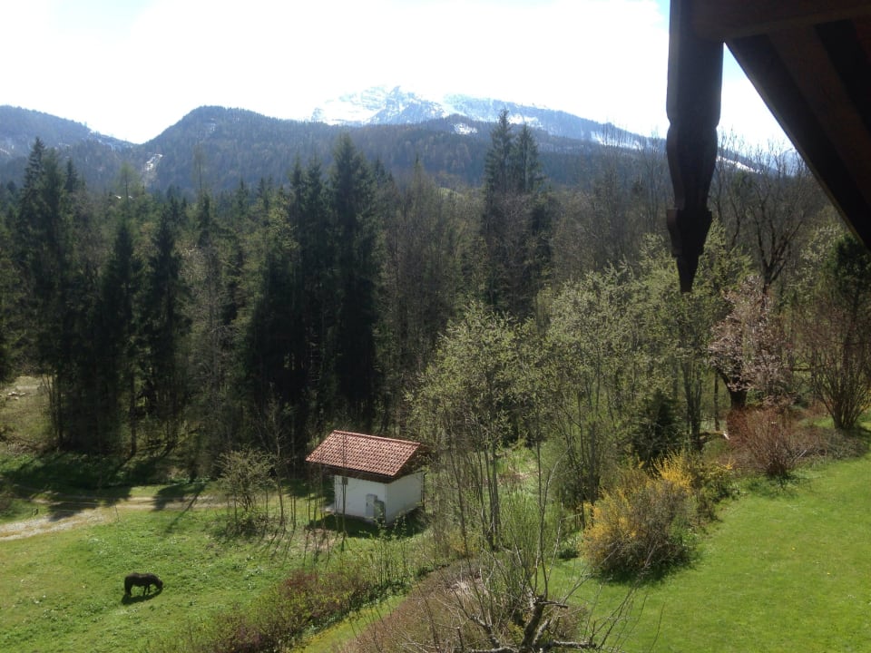 Ausblick Balkon Wohnung 4 Haus am Schmiedweg
