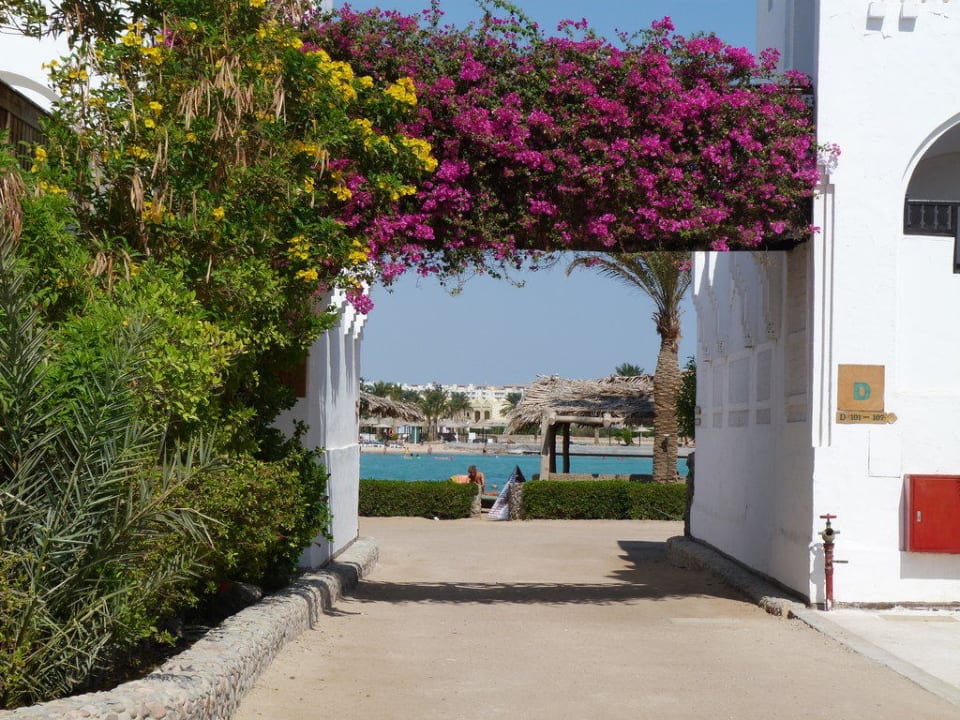 Außenanlage Arabella Azur Resort