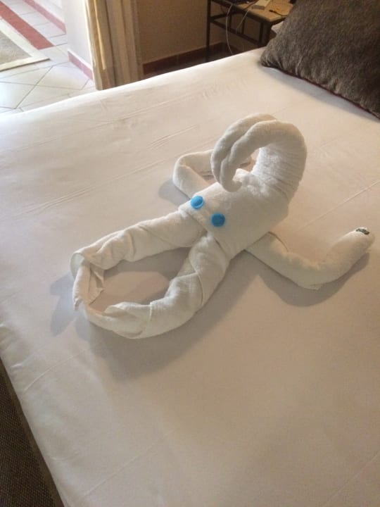 Zimmer Jaz Makadi Oasis Resort