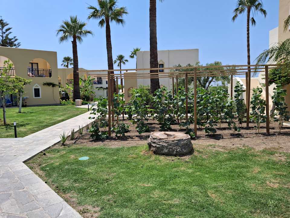 Gartenanlage Grecotel Casa Paradiso