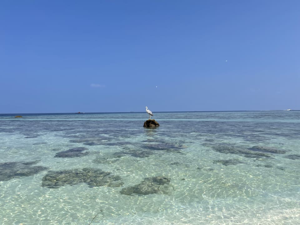 Strand Kudafushi Resort & Spa