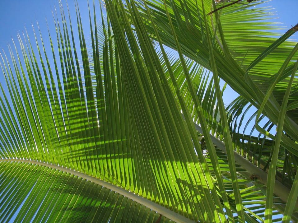 ein Traum! Long Bay Resort Koh Phangan