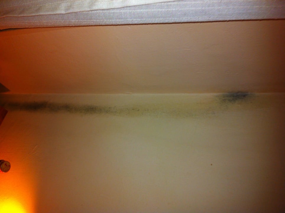 Schimmel Hotel Urbis