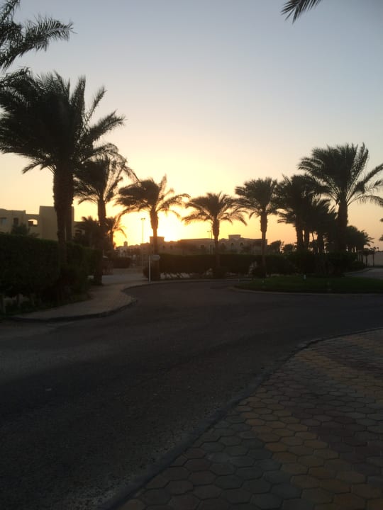 Gartenanlage Jaz Makadi Oasis Resort