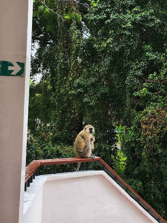 Sonstiges Bahari Beach Hotel