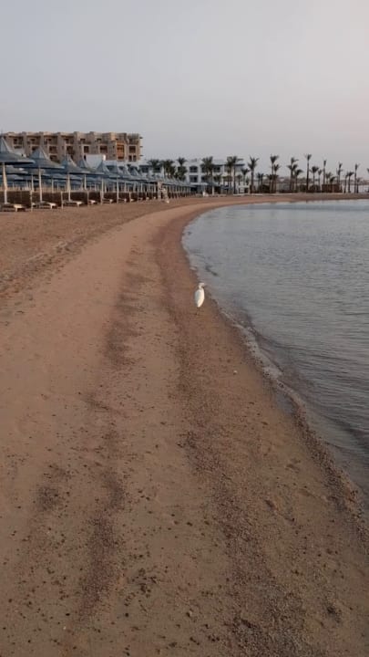 Strand The Grand Hotel Hurghada