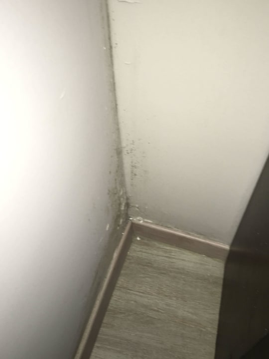 Schimmel Hotel Tania