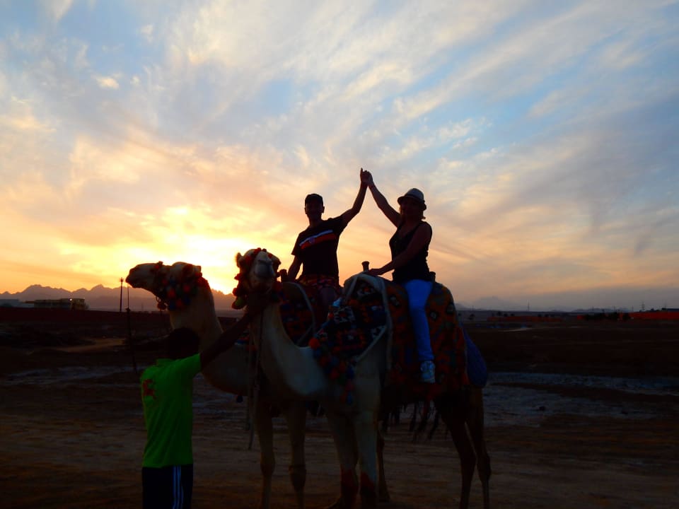 Am Strand Sentido Caribbean World Soma Bay