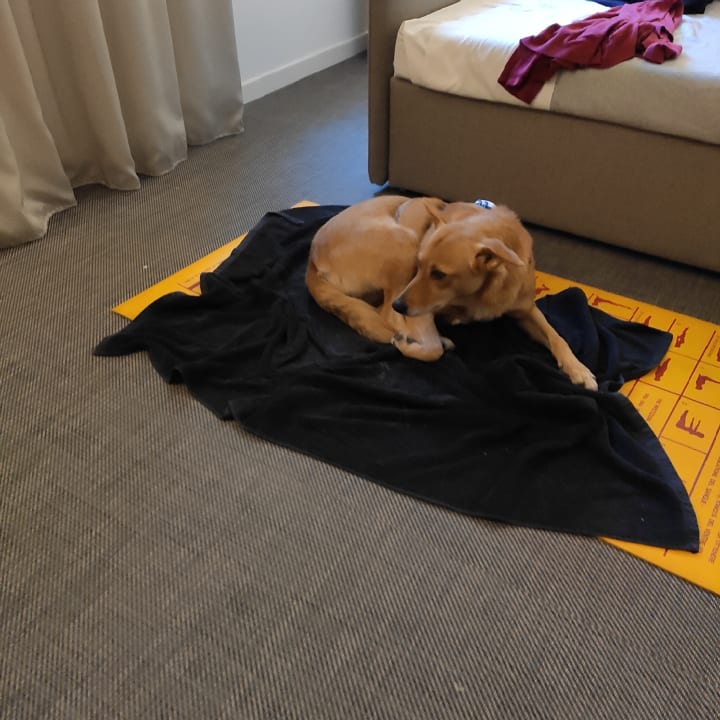 Zimmer Boutique Hotel Villa Sorriso