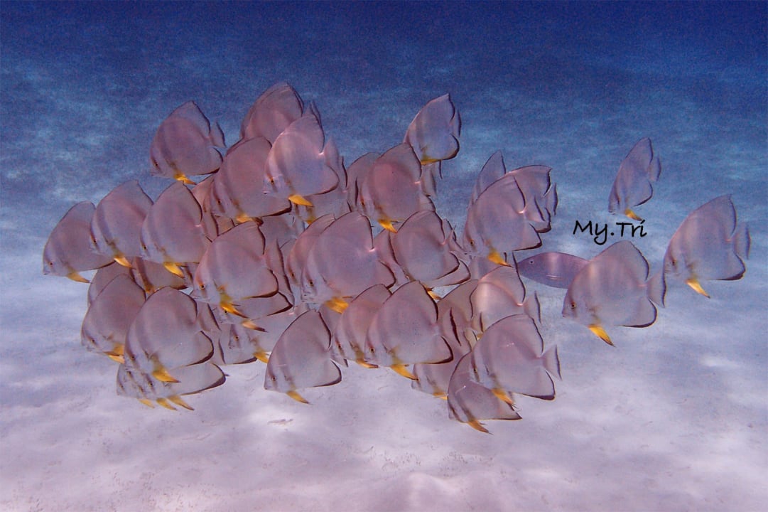 Sonstiges Dream Lagoon Resort & Aqua Park