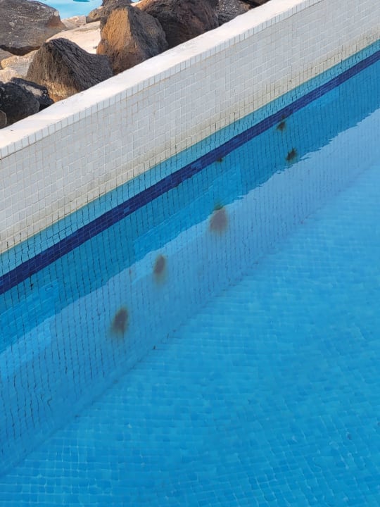 Pool SBH Costa Calma Beach Resort