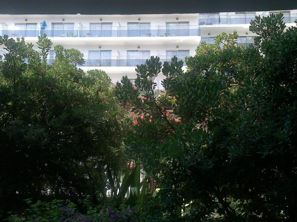 Ausblick aus dem Fenster Hotel Osiris