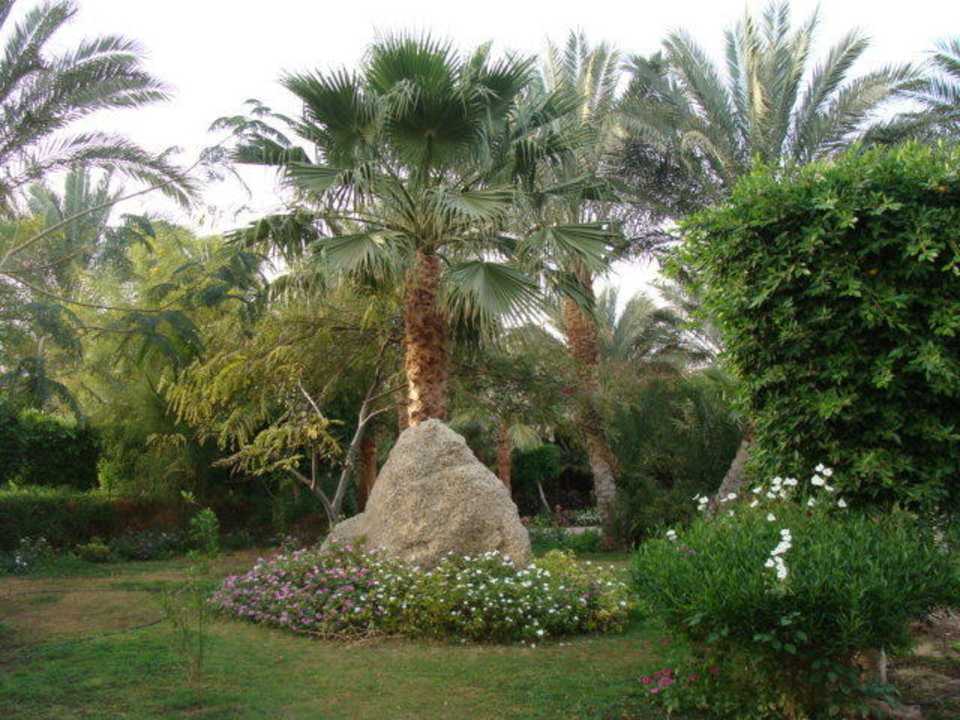 Aiula Dream Lagoon Resort & Aqua Park