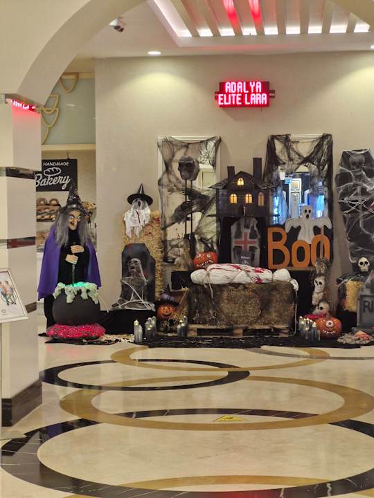 Gastro Adalya Elite Lara