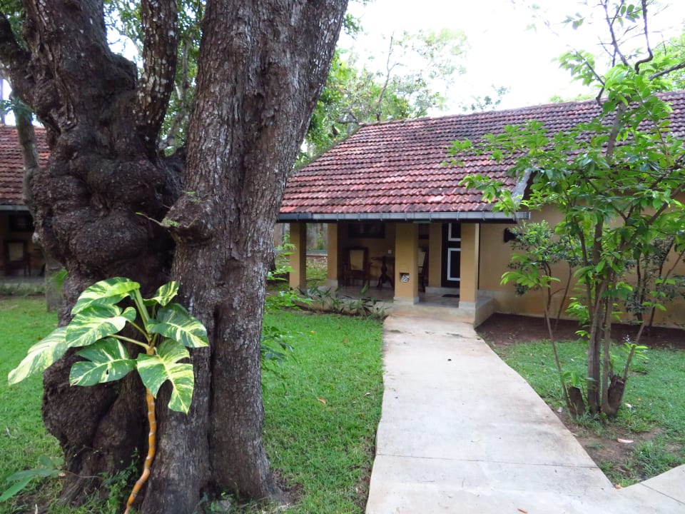 Außenansicht Habarana Village by Cinnamon