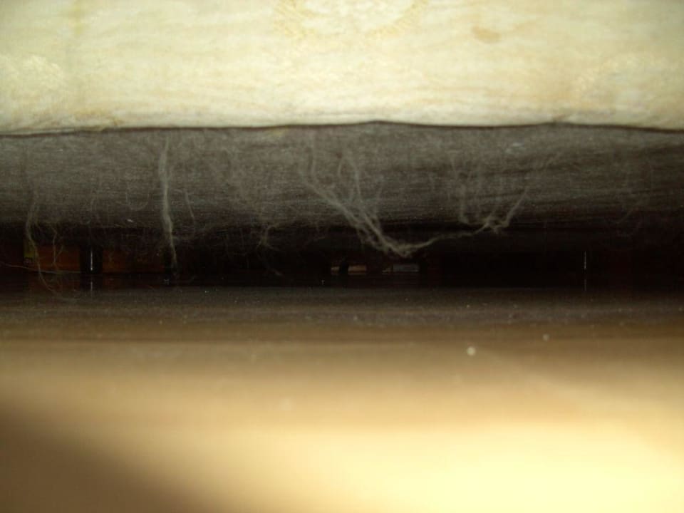 Untern Bett Bull Astoria