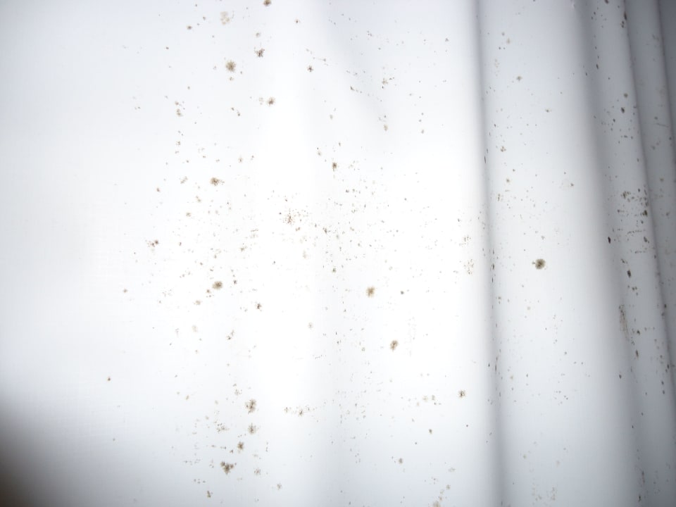 PVC Blickdichte Übergardinen  Hotel Riu Oliva Beach Resort