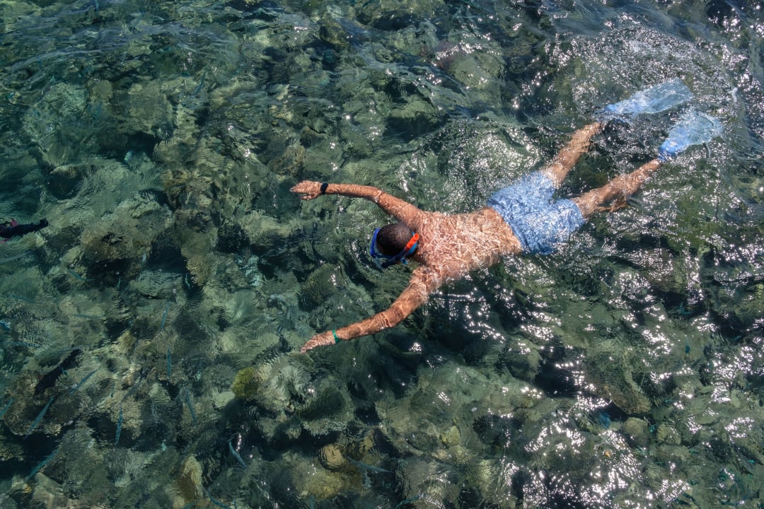 Sport & Freizeit Desert Rose