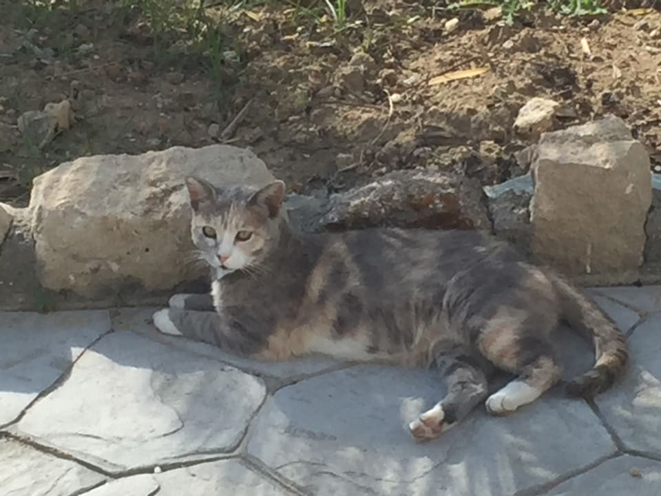 Sonstiges Hotel Kouros Palace