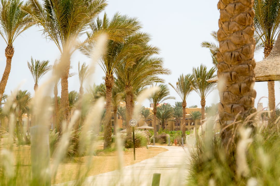 Gartenanlage Steigenberger Coraya Beach - Adults only