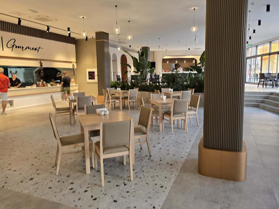 Gastro Seashell Vega