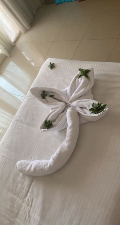 Zimmer Three Corners Happy Life Beach Resort